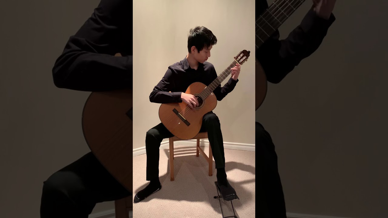 Guitar G105 Mark Niu - Minuet - Petzold