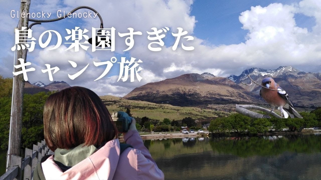 【ソロキャンプ旅】秘境の町でバードウォッチング【ニュージーランド】住みたい町NO.1（私的に）