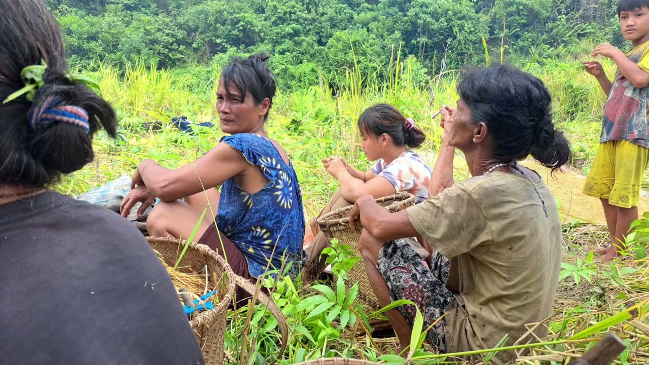 Legenda Dan Budaya Dusun Nanga Hovat