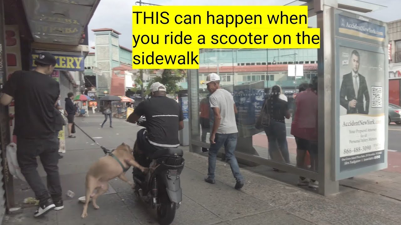 Crazy Scenes On Fordham Road, The Bronx.