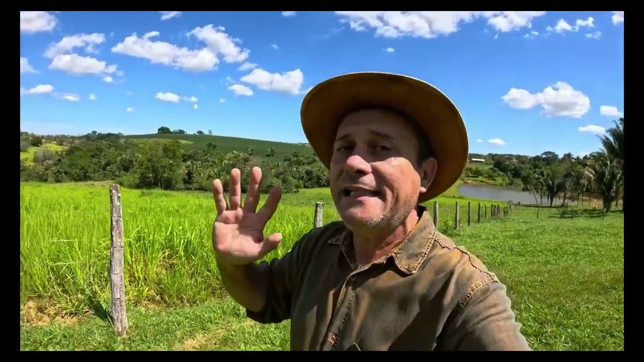 A Venda essa chácara de 9.37 hectares - Escriturada - Cocalzinho GO