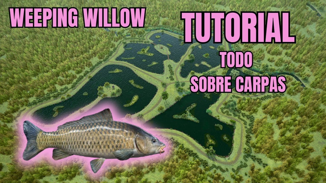 TUTORIAL WEEPING WILLOW.   ⭐️TODO SOBRE LAS CARPAS!!⭐️