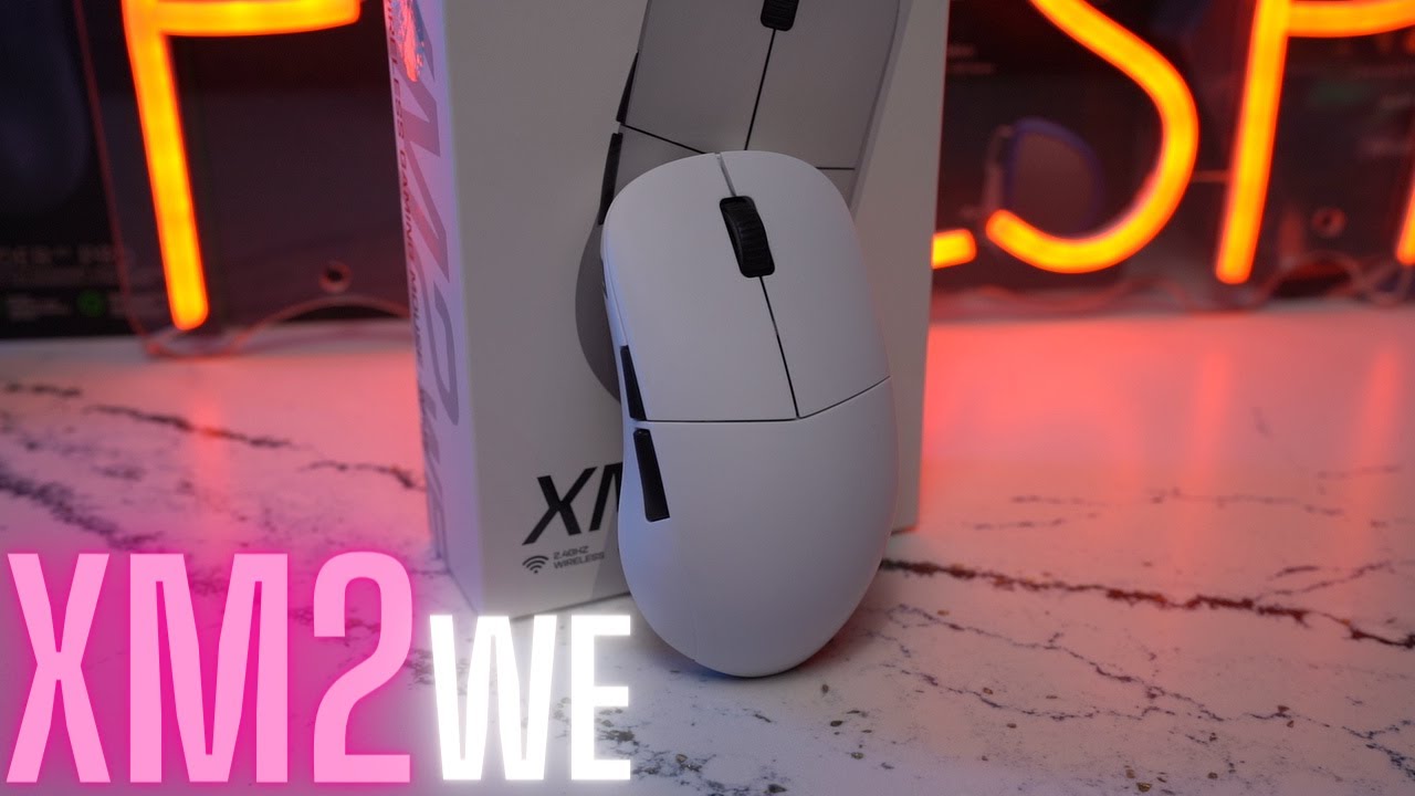 Endgame Gear XM2we Review & Market Comparisons