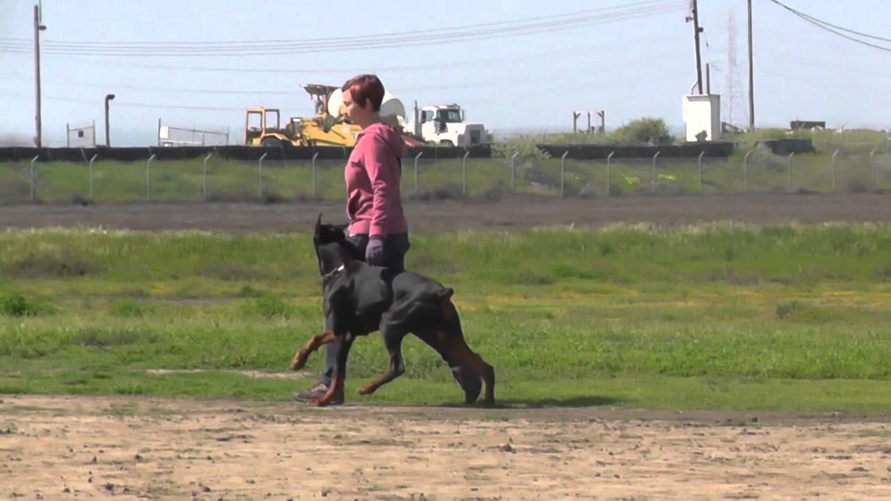 IPO 1 trial - protection with USCA judge Frank Phillips