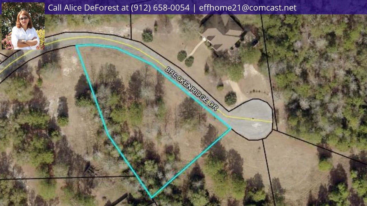 122 Breckenridge Drive , Springfield, GA 31329 - MLS #212421