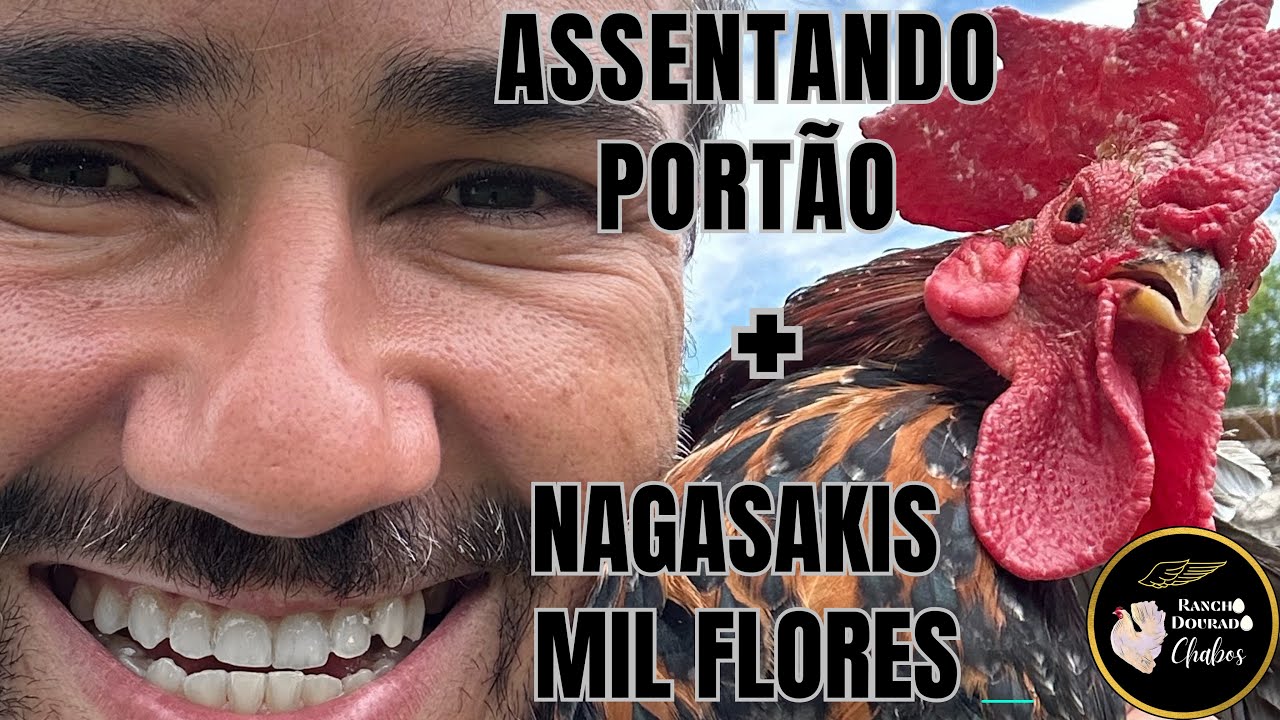 Você sabe como é a marcação do Nagasaki Mil flores?