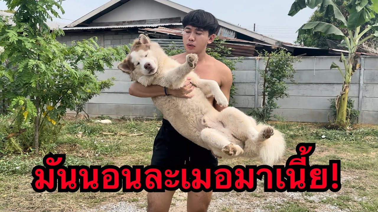 น้องยังหลับอยู่เลยสงสัยเดินละเมอมากองทรายเนี้ย!