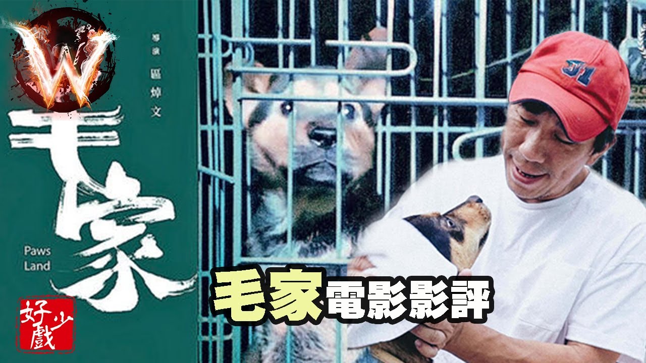 毛家 paws’ land 優秀紀錄片 悲情城市的縮影 縱橫向的分析 (半 soundbite)