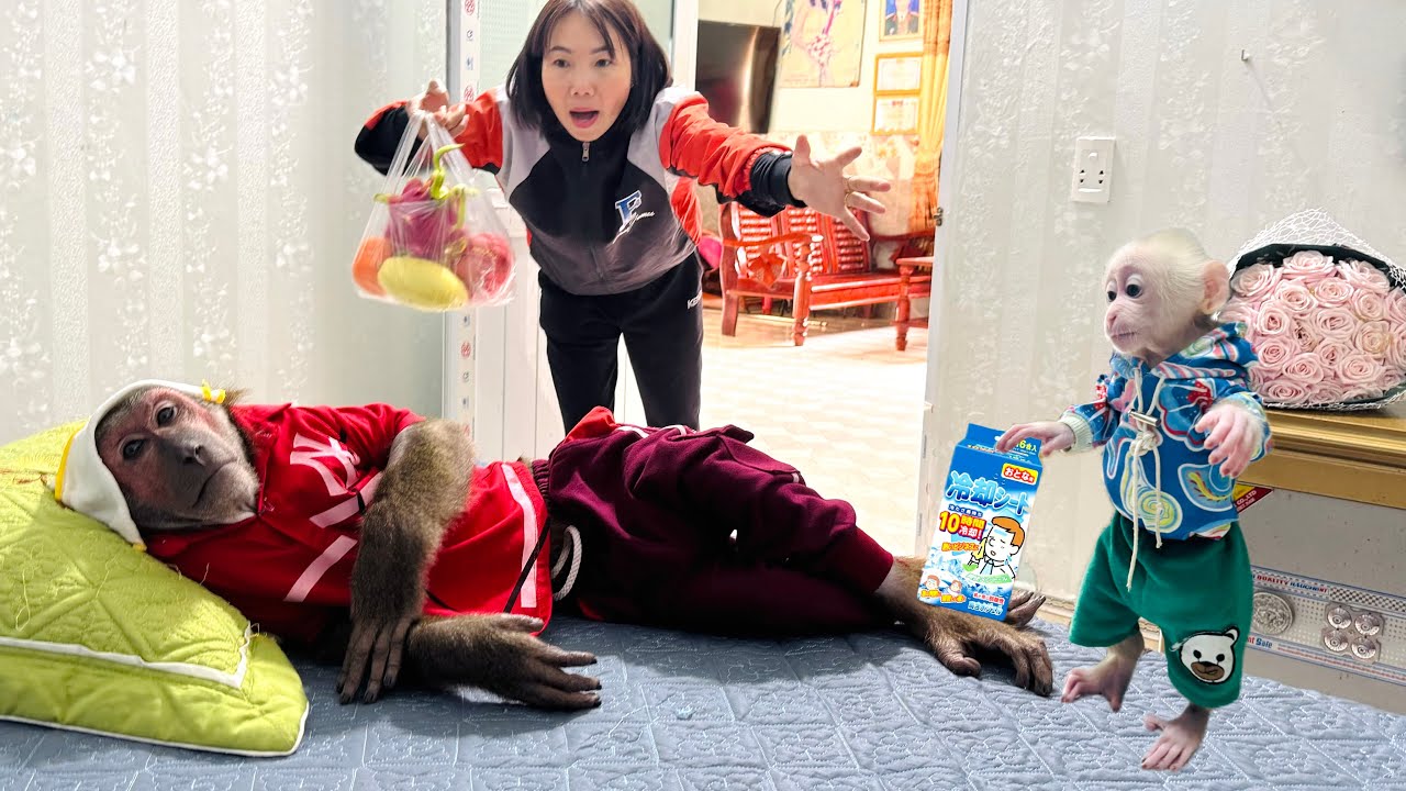 Monkey Abu Cry Angry With Mom When Couldn't Go Big Market