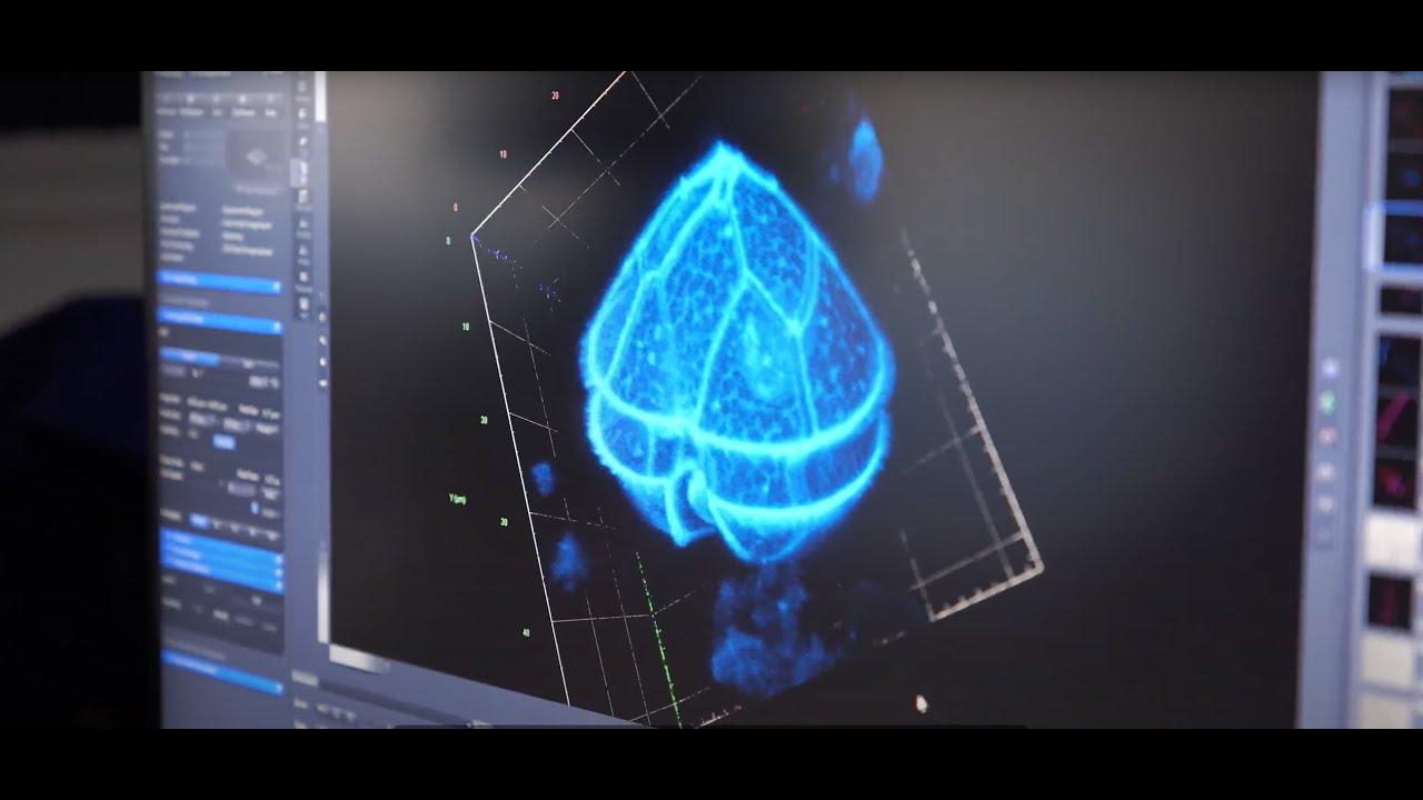 Première étape de l’expédition scientifique TREC à Roscoff