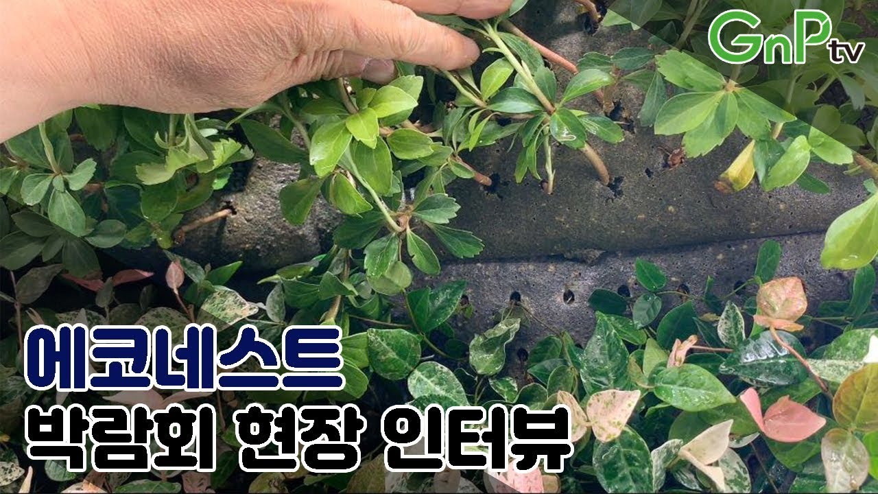 에코네스트/에코네스트 인터뷰/2019 대한민국 조경*정원박람회/ GnPtv/가든앤파크