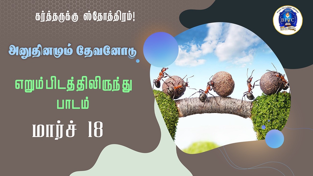 மார்ச் - 18  அனுதினமும் தேவனோடு : எறும்பினிடத்தி­ருந்து பாடம்....