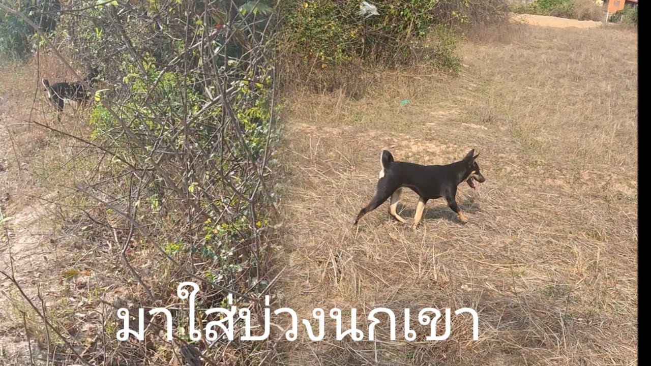 4 มีนาคม ค.ศ. 2026