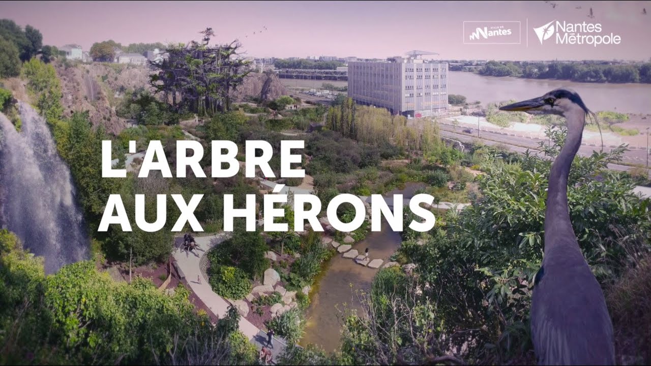 L'Arbre aux hérons : découvrez le projet !