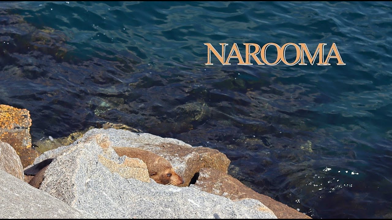 Narooma 2026