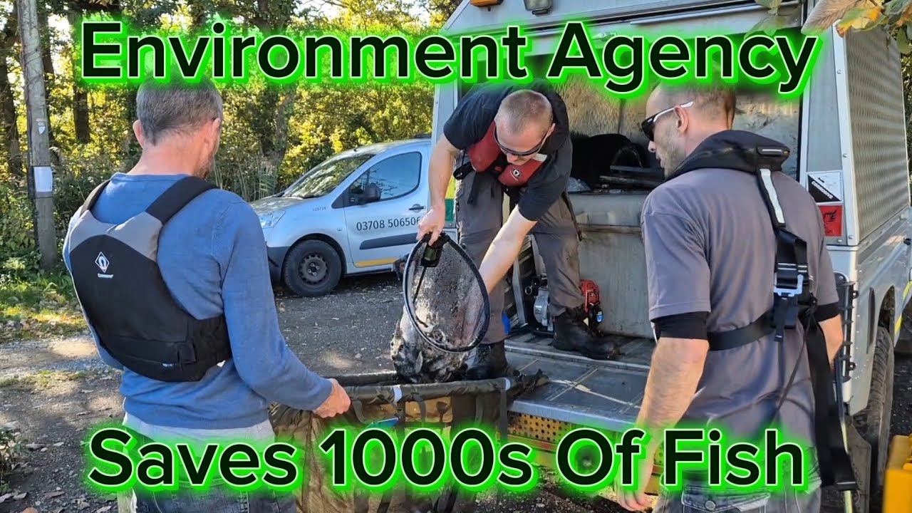 Environment Agency Saves 1000s Of Fish