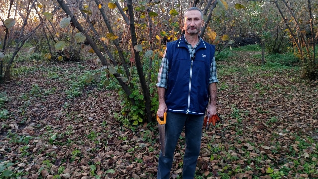 Məsləhət xarakterli .