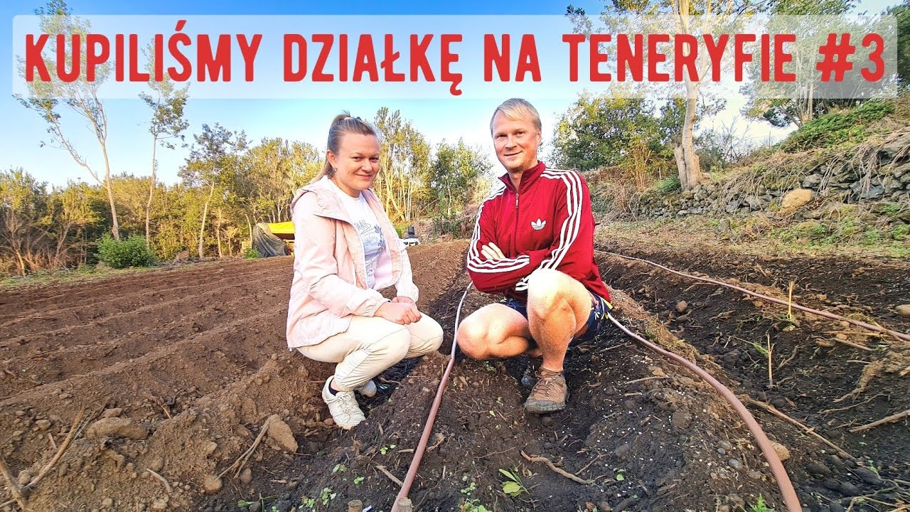 Jak Kupiliśmy Działkę na Teneryfie #3 |Brak Zgody na Wodę, Zmiany w Projekcie, Sesja Antydepresyjna