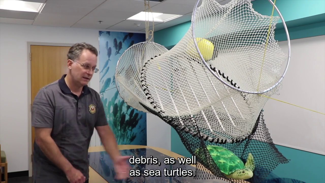 U.S. Department of State | Turtle Excluder Device