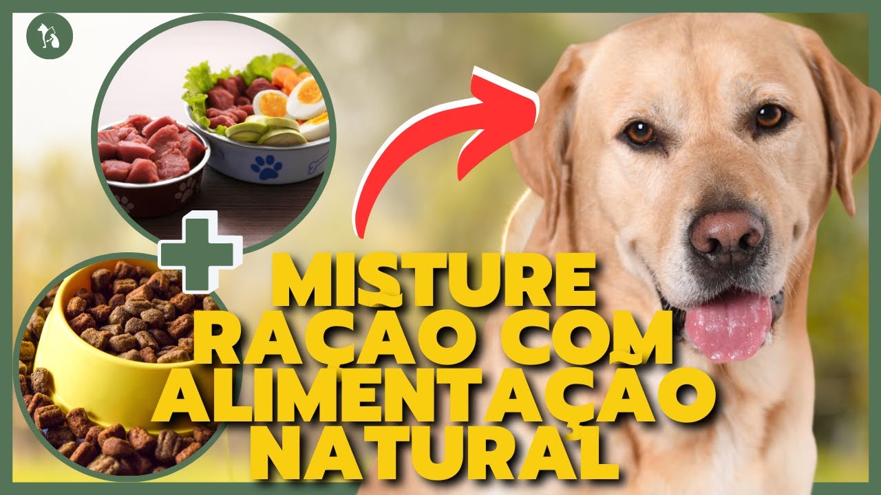 ÚLTRA FANTÁSTICO! Misturar os DOIS Melhora a Qualidade da Ração para Cachorro e Ração para Gato.