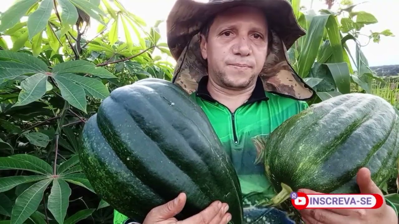 ESTOU FELIZ COM O RESULTADO na chácara 