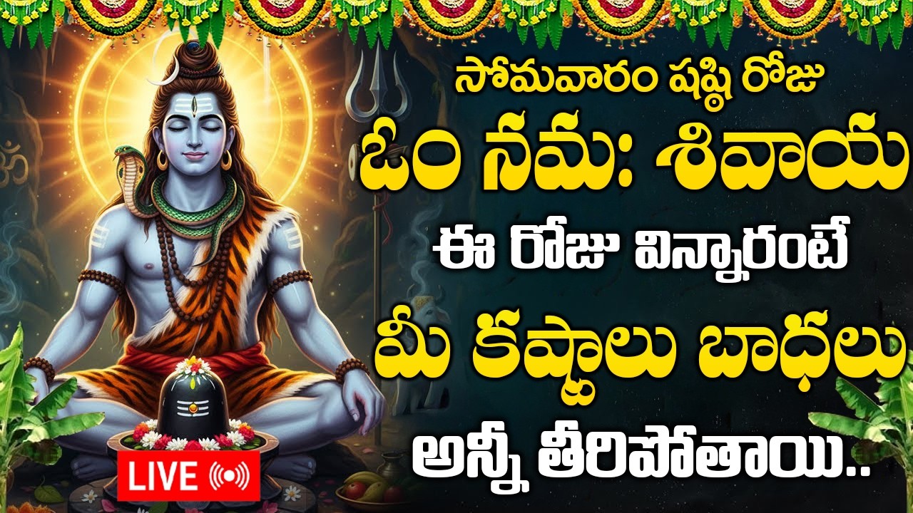 ఓం నమః శివాయ మంత్రం వింటే పరమేశ్వరుడు మీ ఇంట్లో తాండవిస్తాడు | Om Namah Shivaya | Lord Shiva Mantra