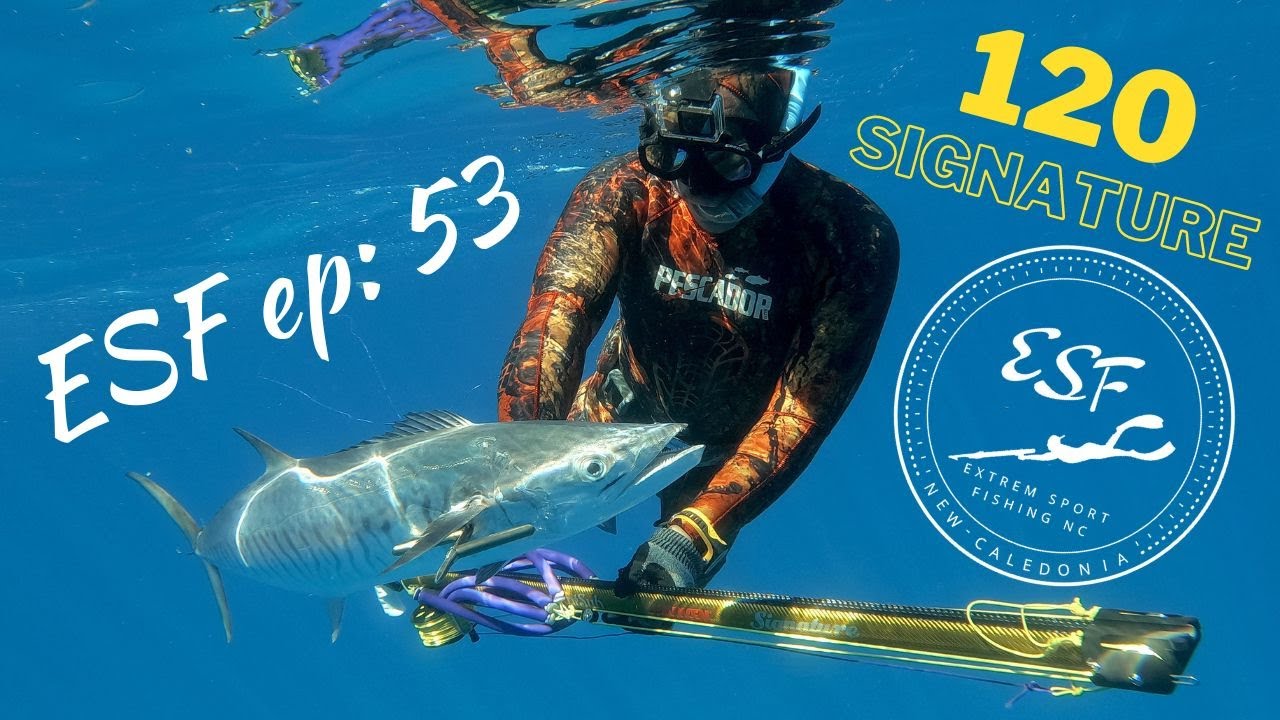 Extrem sport fishing ESF ep : 53 Test signature 120 spearfishing nc