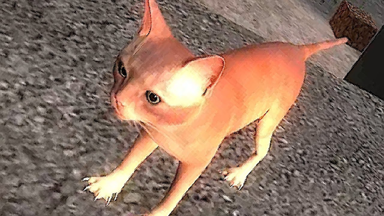 Garry's Mod: The G-Arena Playtest