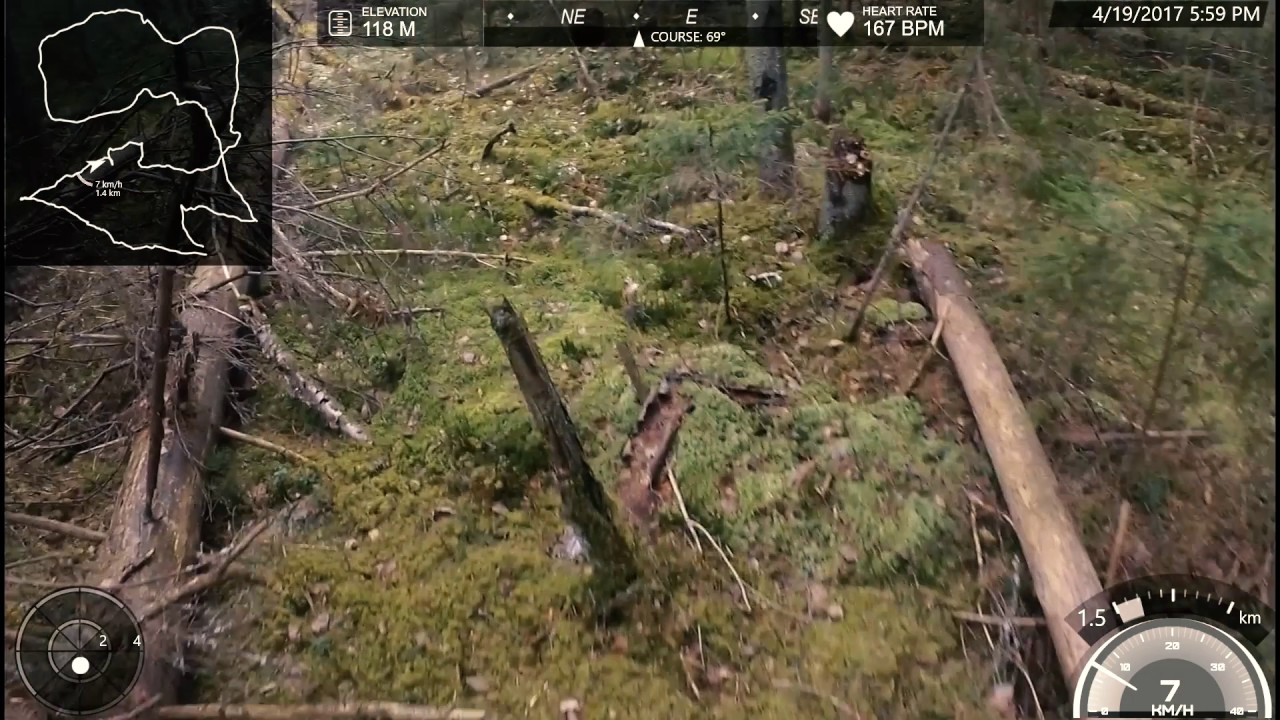 Azimutas 2017 Orienteering, Bubiai Tour 3 Full Run