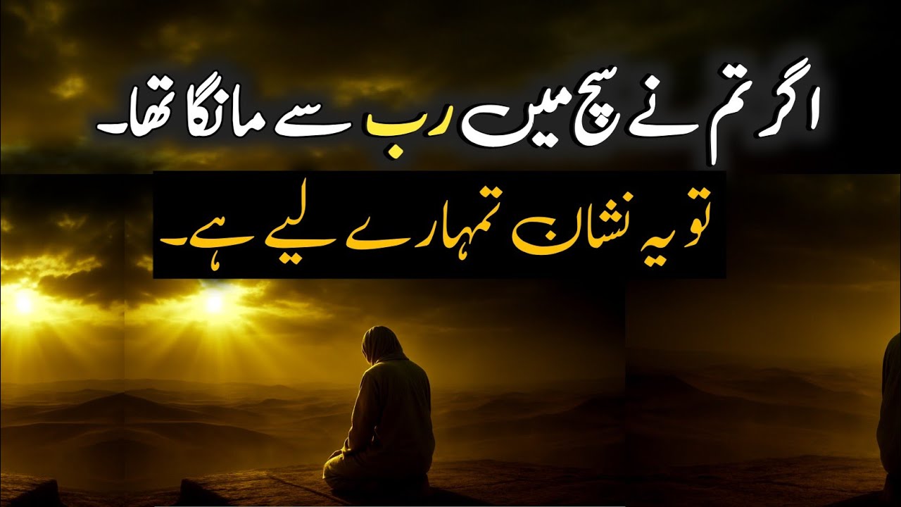 Jab rab jawab bejta hai tu Nishan aise milta hai |best 2026 quotes by 1 Hamza Studio 