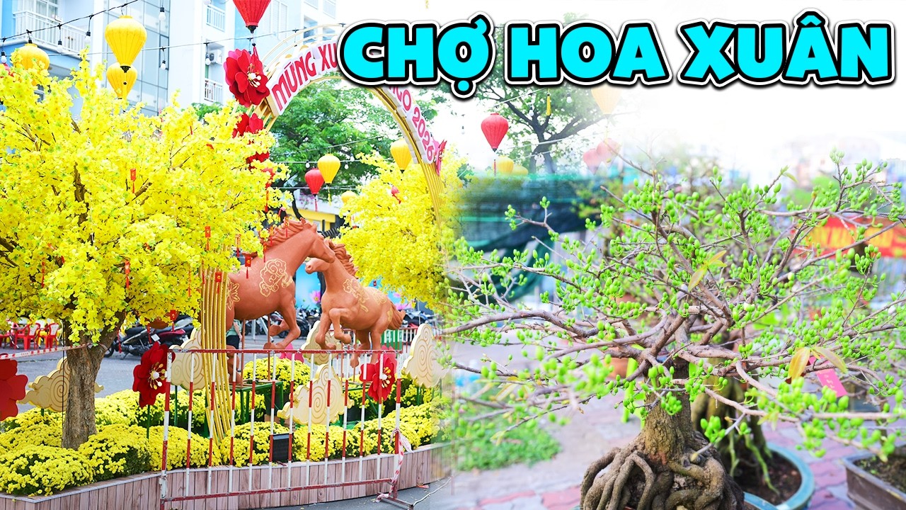 Trên Bến Dưới Thuyền - Chợ Hoa Xuân Rực Rỡ Tại Quận 8 Cũ Sài Gòn