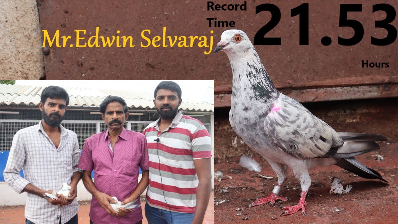Mr.Edwin Selvaraj