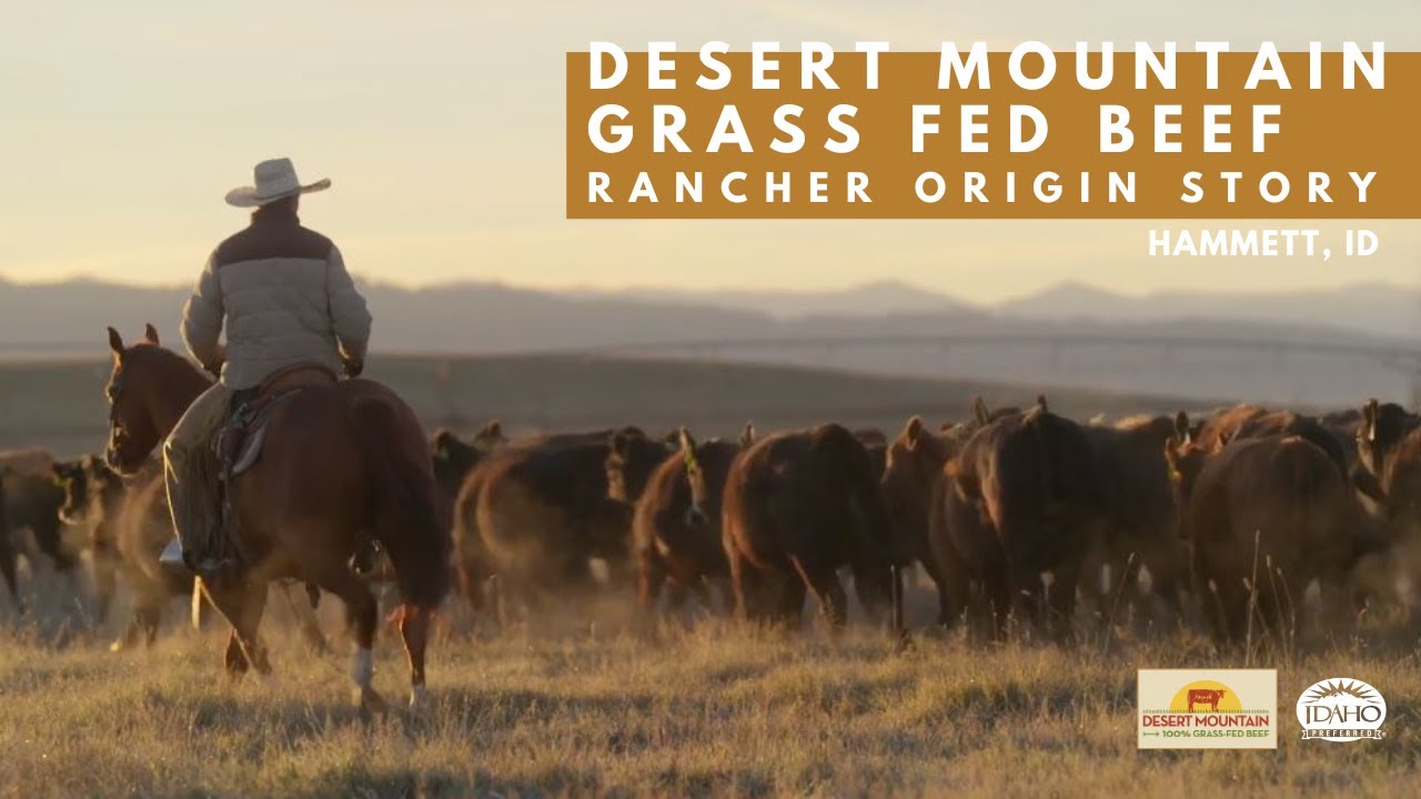 DESERT MOUNTAIN GRASS FED BEEF: AN IDAHO RANCHER ORIGIN STORY