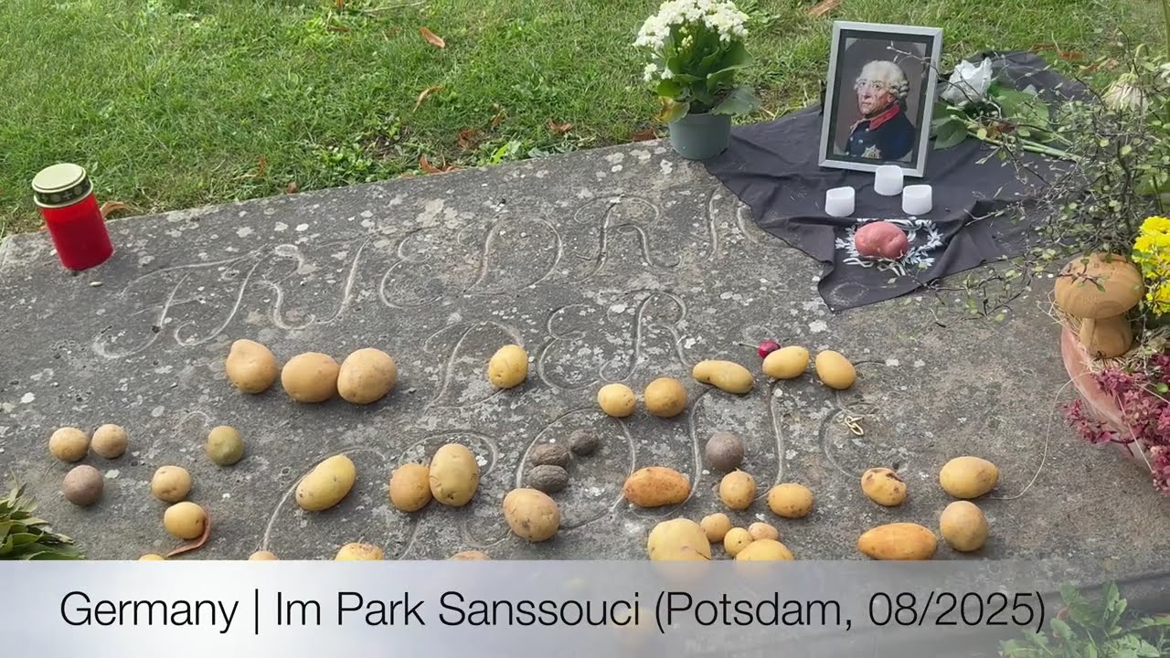 Germany | Potsdam 2025 / 08 (Im Park Sanssouci)