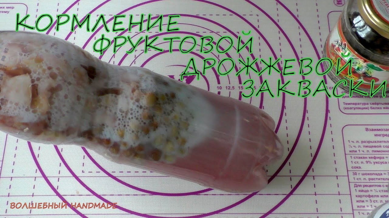 КОРМЛЕНИЕ ФРУКТОВОЙ дрожжевой воды//освежение фруктовой воды//vlog life