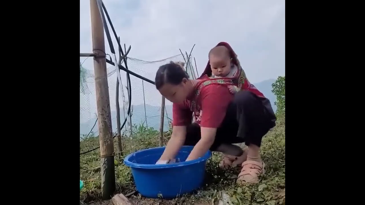 Gathering Greens to Make Cabbage and Harvest Kohlrabi | Simple Village Life