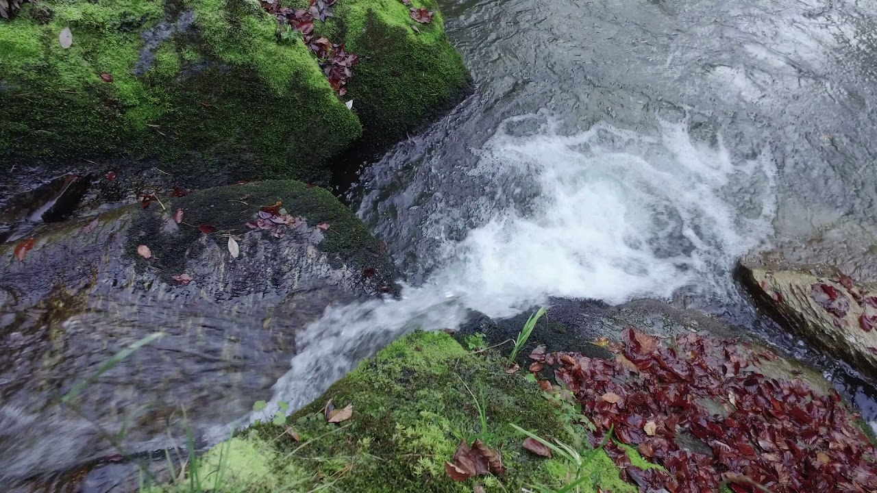 earth guides water