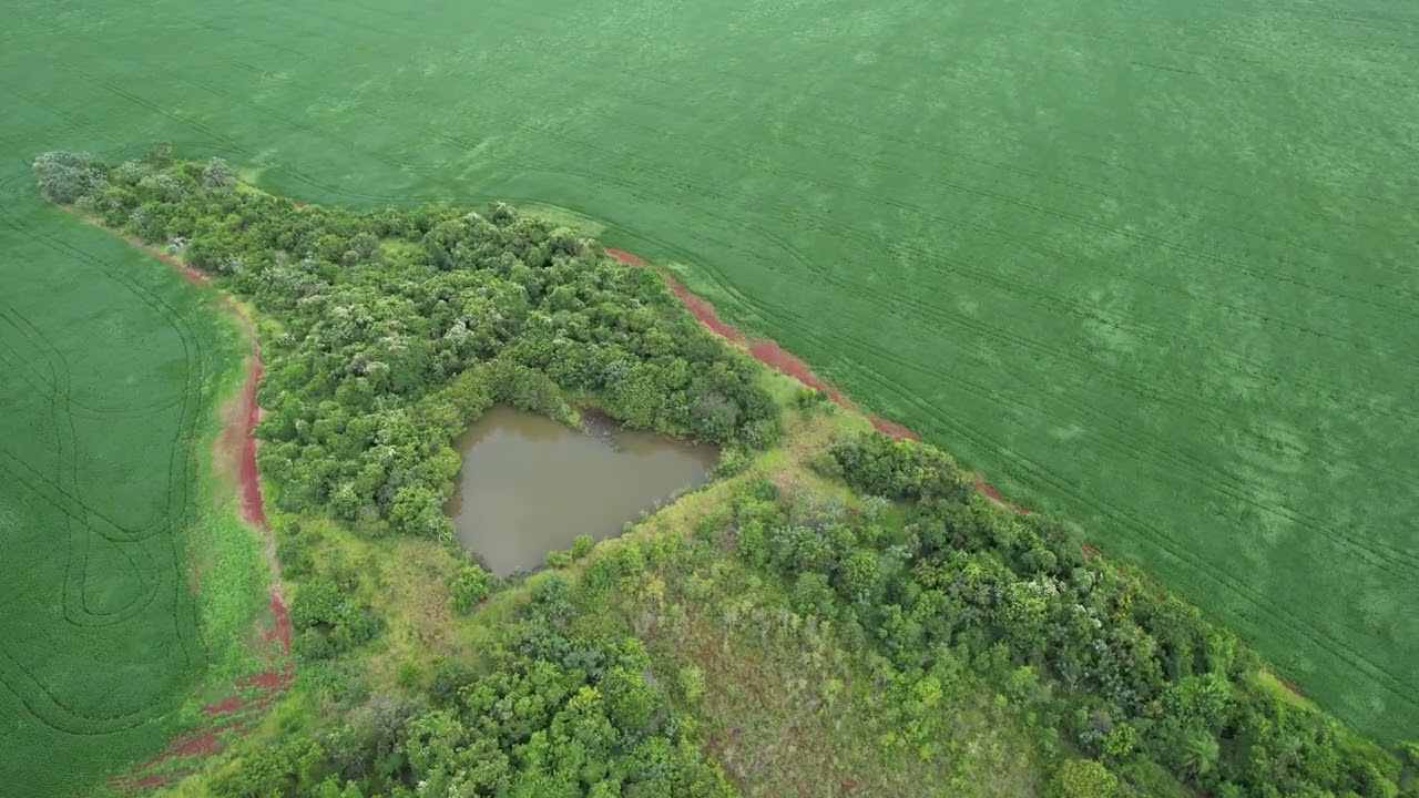 Nascente do Rio Cachoeirinha de Drone TERENOS-MS