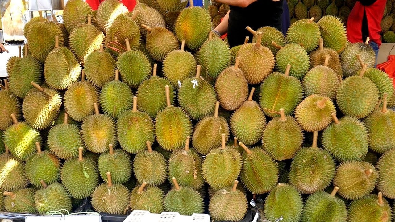 DURIAN SEASON 🤭 The SMELLIEST FRUIT in the World【榴莲】