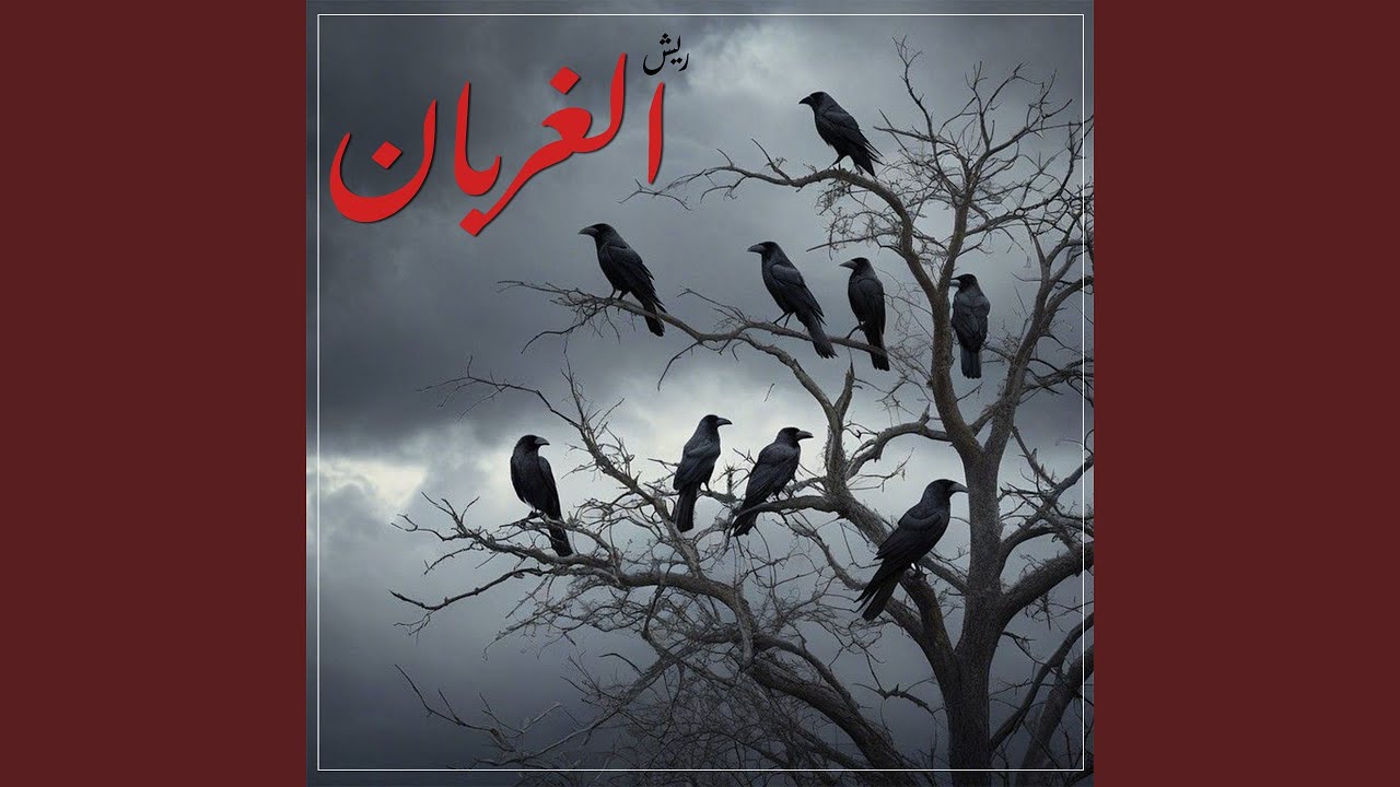 ريش الغربان