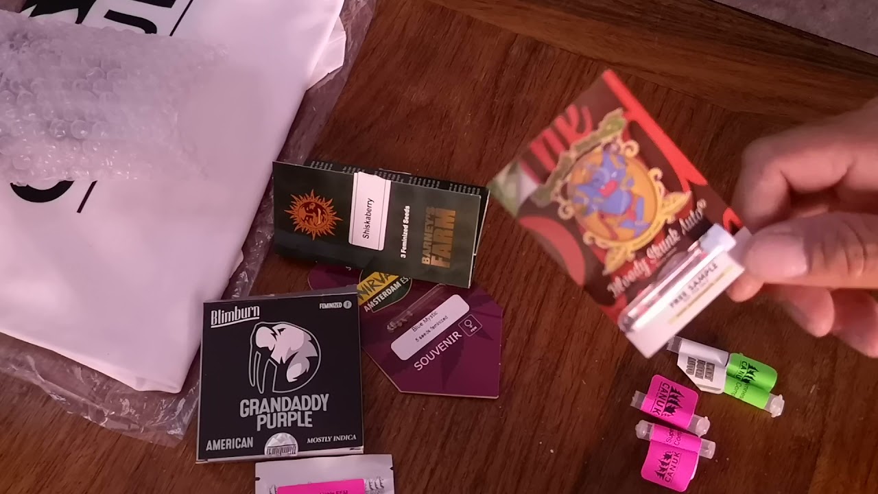 True North Seed Bank Unboxing