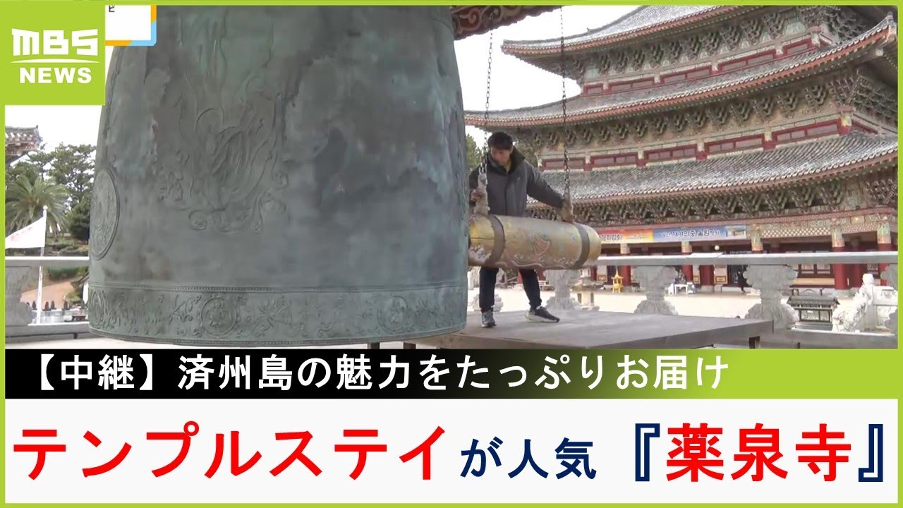 韓国最大級の寺院『薬泉寺』 人気のテンプルステイとは？　冬にオススメな済州の海鮮料理も紹介...観光客が驚く「タチウオ鍋」も味わう【済州島】【現場から生中継】（2023年12月20日）