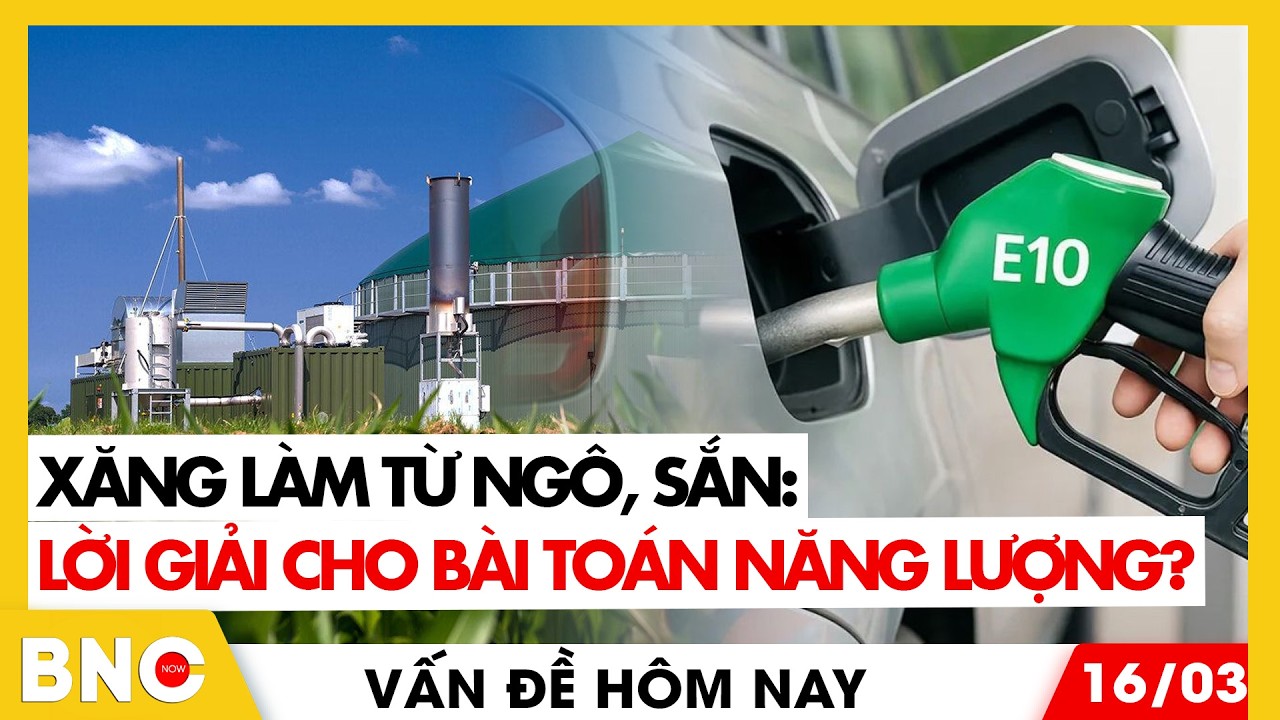 Thời sự trong nước: Viên chức vi phạm có thể được giảm nhẹ kỷ luật; Cứu người trong đám cháy ở TPHCM