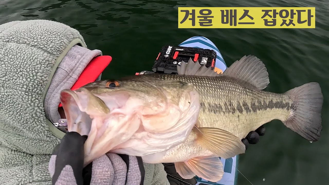 겨울 배스낚스 결국 해냈다 