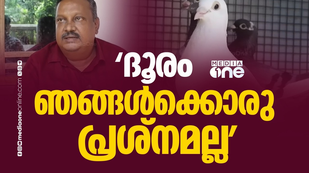 ആയിരക്കണക്കിന് കിലോമീറ്റർ താണ്ടി ലക്ഷ്യത്തിലെത്തുന്ന പ്രാവുകളും കാത്തിരിക്കുന്ന ഉടമയും