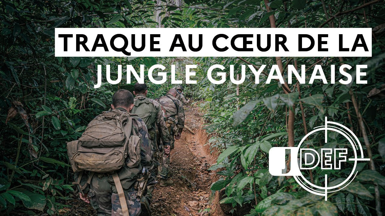 Traque au cœur de la jungle guyanaise (#JDEF)