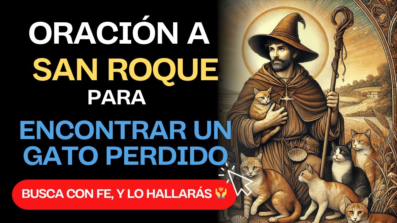 🙏 🙌  Oración a San Roque para encontrar un gato