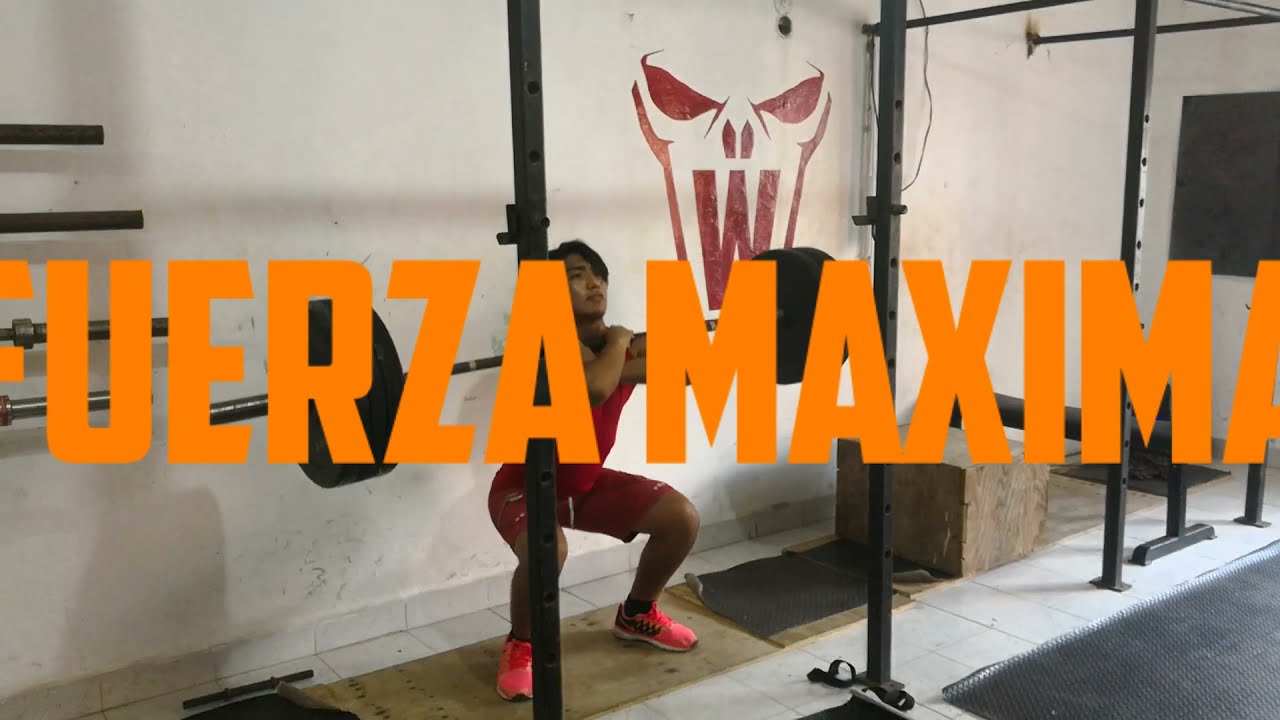 Fuerza y Acondicionamiento para MMA 2 