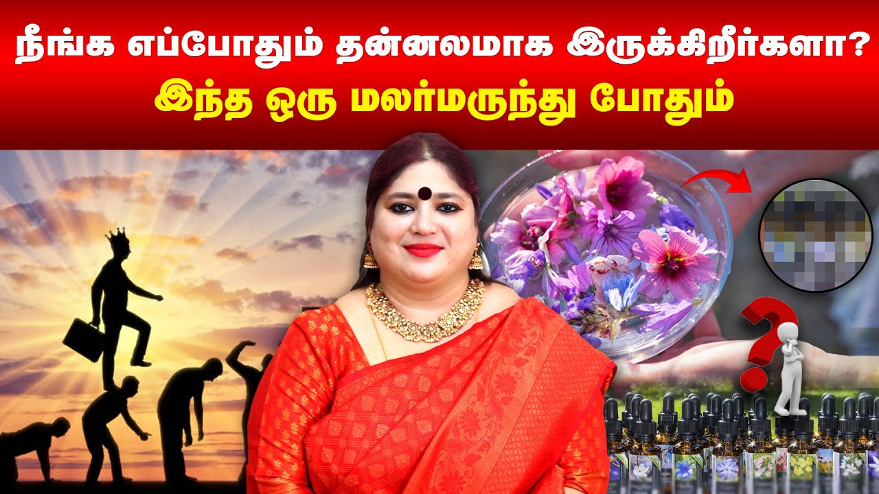 நீங்க எப்போதும் தன்னலமாக இருக்கிறீர்களா? | இந்த ஒரு மலர்மருந்து போதும் | Chicory | Omsritara