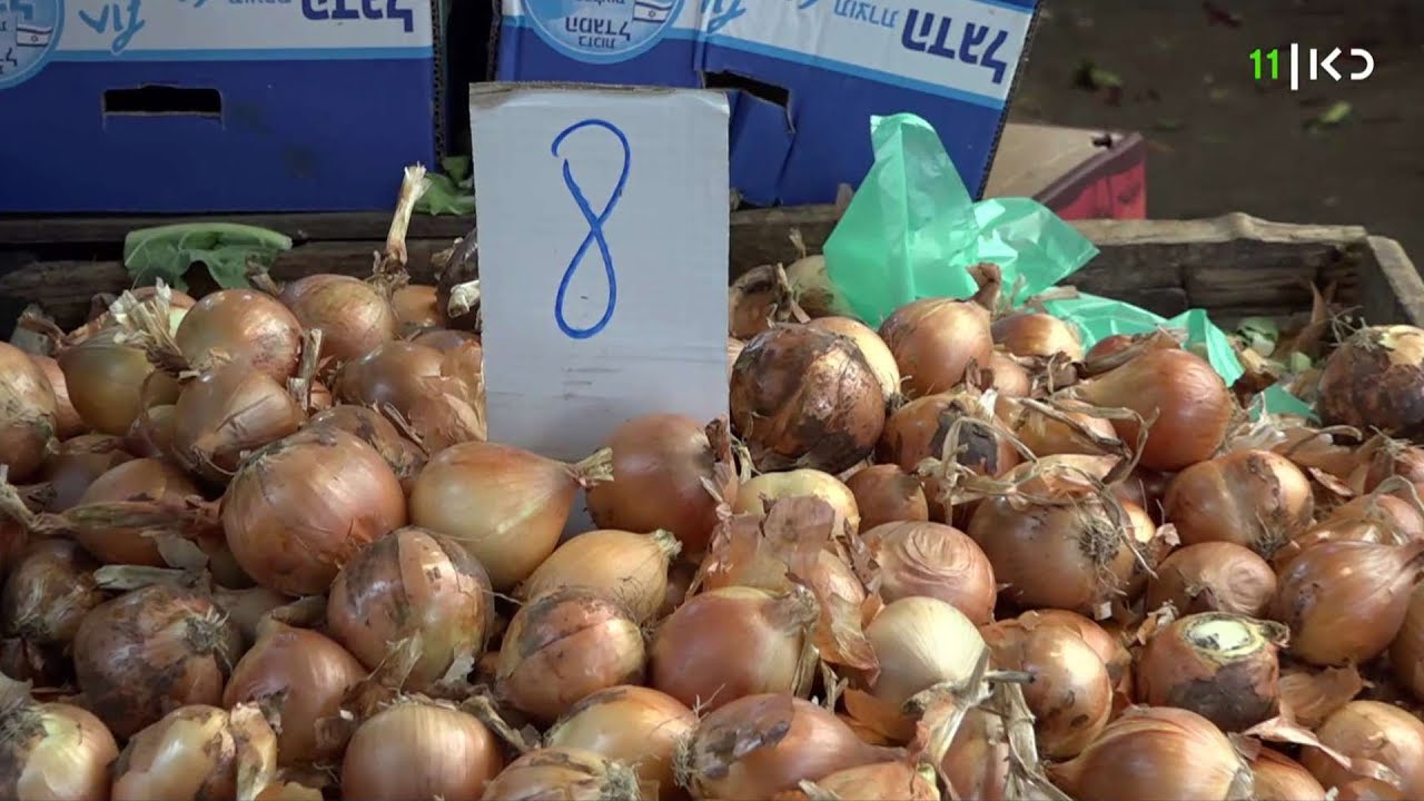 יוקר הבצל: קרב הגרסאות בין החקלאים למשרד החקלאות